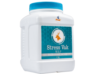 Stress Vak